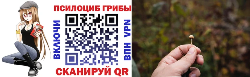 Купить  Нерюнгри  Галлюциногенные грибы ЛСД 